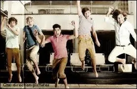 Avant x-factor, quel tait le nom du groupe d'Harry ?