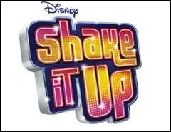 Sur quelle chane passa Shake It Up ?