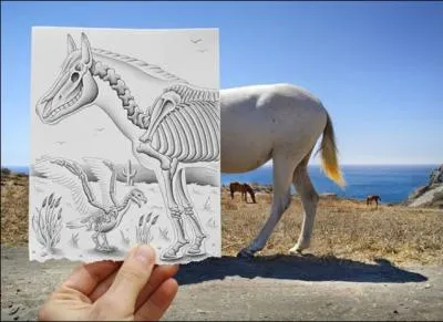 En Maine et Loire, des cadres obscurs s'y entrainent !