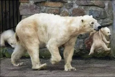 Cette ville porte le nom d'un fumeur de cigares !