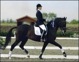 Quels sont les trois quipements obligatoires pour monter  cheval ?