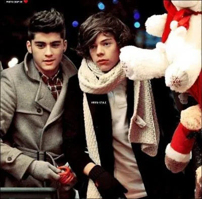 Que hait Zayn chez Harry ?