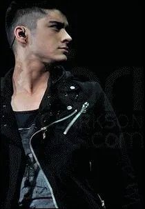 Quel est le nom complet de Zayn ? (2 solutions)