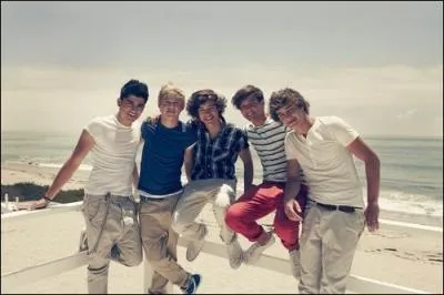 O le clip ' What Makes You Beautiful ' a-t-il t tourn ?