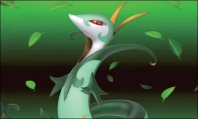 Que peut apprendre Majaspic ?