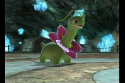 Que peut apprendre Mganium ?