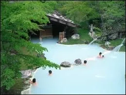 Il y a une tradition des sources d'eaux chaudes au Japon. En effet, le pays est trs volcanique. Combien existe-t-il de volcans sur l'archipel ?