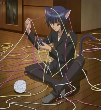 Comment s'appelle le shugo chara d'Ikuto ?