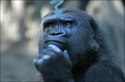 Le cante jondo, c'est :