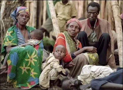 Au Rwanda, une guerre civile opposant les Hutus et les Tutsis a dgnr en gnocide. L'ONU estime que plus de 800 000 Rwandais sont morts au cours de ce dernier. En quelle anne a-t-il eu lieu ?