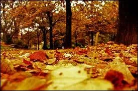 ''Oh ! je voudrais tant que tu te souviennes / Des jours heureux où nous étions amis / En ce temps-là la vie était plus belle / Et le soleil plus brûlant qu'aujourd'hui'' 
Quels sont le poète et le chanteur ?