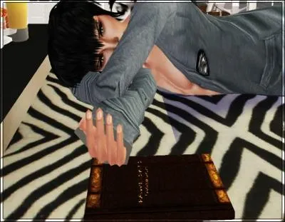 Comment dit-on  journal intime  ou  agenda  en allemand ?