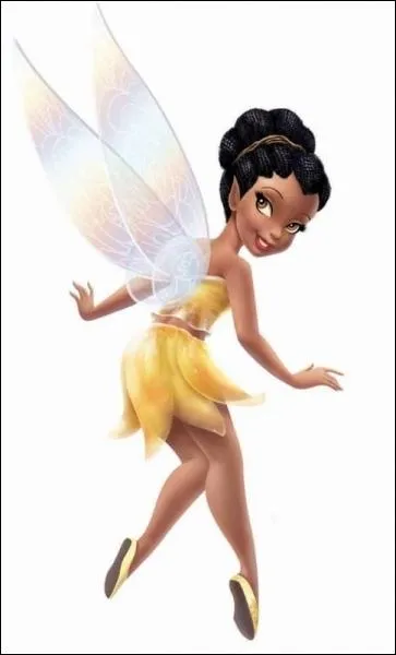 Quel est le nom de cette fe ?