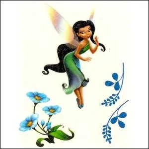 Quel est le nom de la fe sur cette image ?