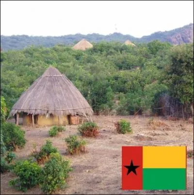 A quel pays africain, le Portugal accorde-t-il officiellement son indpendance le 10 septembre ?