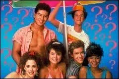 Combien y a-t-il de saisons ?