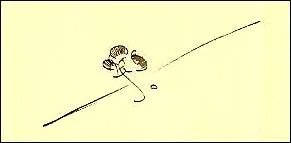 Quel peintre amricain ajoutait son emblme  sa signature, un papillon avec un dard ?