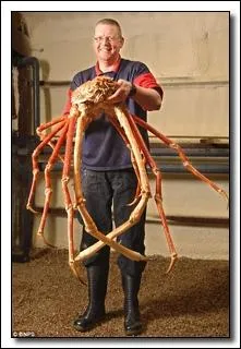 Trouvez le titre de ce film de Pierre Schoendoerffer, de 1977, dans lequel un officier de la marine nationale franaise, cancreux, se voit confier le commandement d'un escorteur d'escadre !