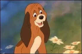 Quel est le nom de ce petit chien courageux ?