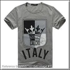 Comment dit-on  gris  en italien ?