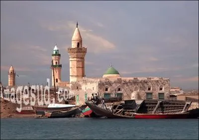 Lequel de ces pays n'a pas de jaune dans son drapeau ?