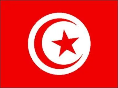 Avec quel autre drapeau d'un autre Etat pourrions-nous confondre celui de la Tunisie ?