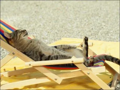 Nue au soleil, compltement nue au soleil !