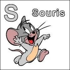 Comment dit-on souris en italien ?