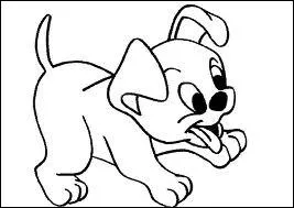 Comment dit-on chien en allemand ?