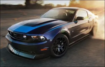 Fougueuse comme le cheval sauvage, je suis...