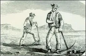 Les leveurs conquirent le territoire australien, en poussant vers l'intrieur pour trouver des patrages. Ils utilisaient les  convicts , les dtenus, pour travailler. Depuis, le pays est encore le 1er producteur...