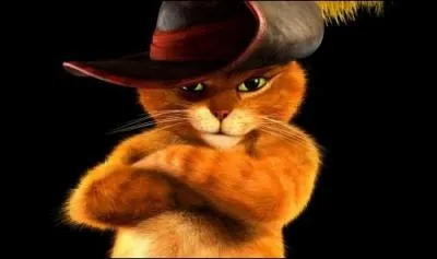 Comment se nomme ce personnage tir des films d'animation  Shrek  ?