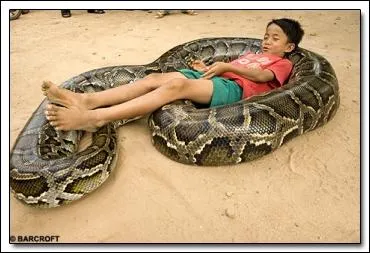 Trouvez la lettre cache dans cet improbable matelas, que l'on ne trouve pas en Amrique du sud !