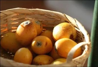 Question difficile, comment dit-on en maltais  n�fle  ?