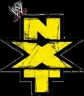Qui a gagn la deuxime saison de NXT ?