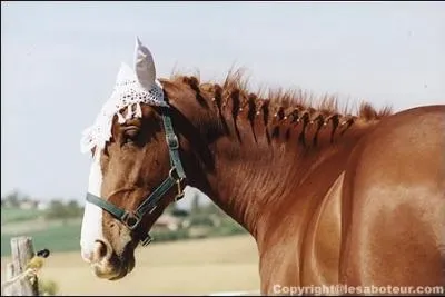 Quelle est cette robe ?