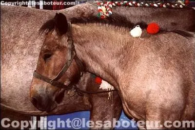 Cette robe est une robe rouanne.