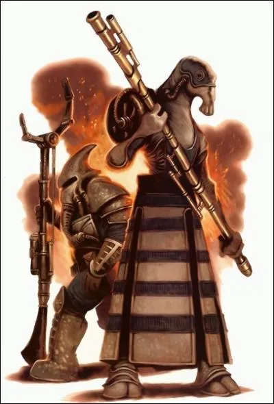 Quelle est cette race ?