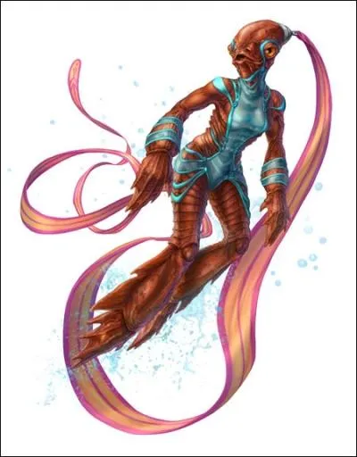 Quelle est cette race ?