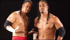 Jimmy et Jay apparatront en compagnie de Tamina avant le retrait de celle-ci pour une quipe nomme :