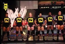La NXT nous a offert ce florilge de catcheurs dont Wayde Barrett et Darren Young, pour ne citer qu'eux. Quel est leur nom ?