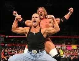 Plus nombreux dans l'quipe d'origine, mais le style est bien reconnaissable grce  Triple H et HBK, qui formaient :