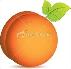 Quel est ce fruit ?