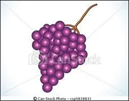 Quel est ce fruit ?