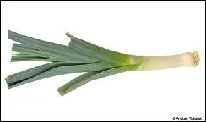 Quel est ce lgume ?