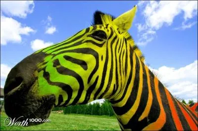 Il a crit ce roman !