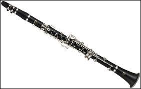 Quel est cet instrument de musique ?