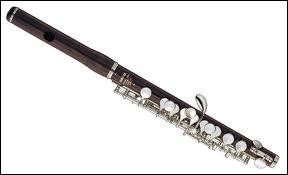 Quel est cet instrument de musique ?