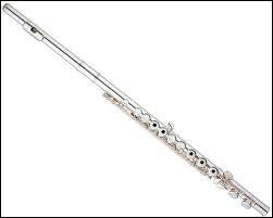 Quel est cet instrument de musique ?