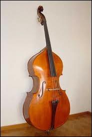Quel est cet instrument de musique ?